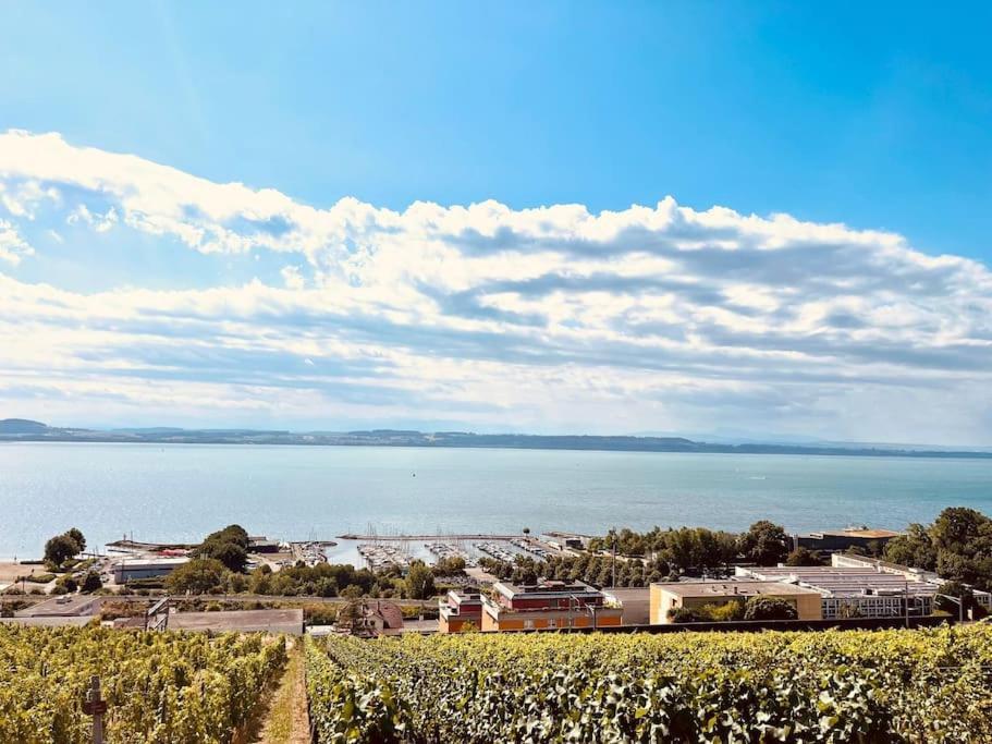 Charmant Appartement De Vacances Alta Ripa Hauterive  외부 사진