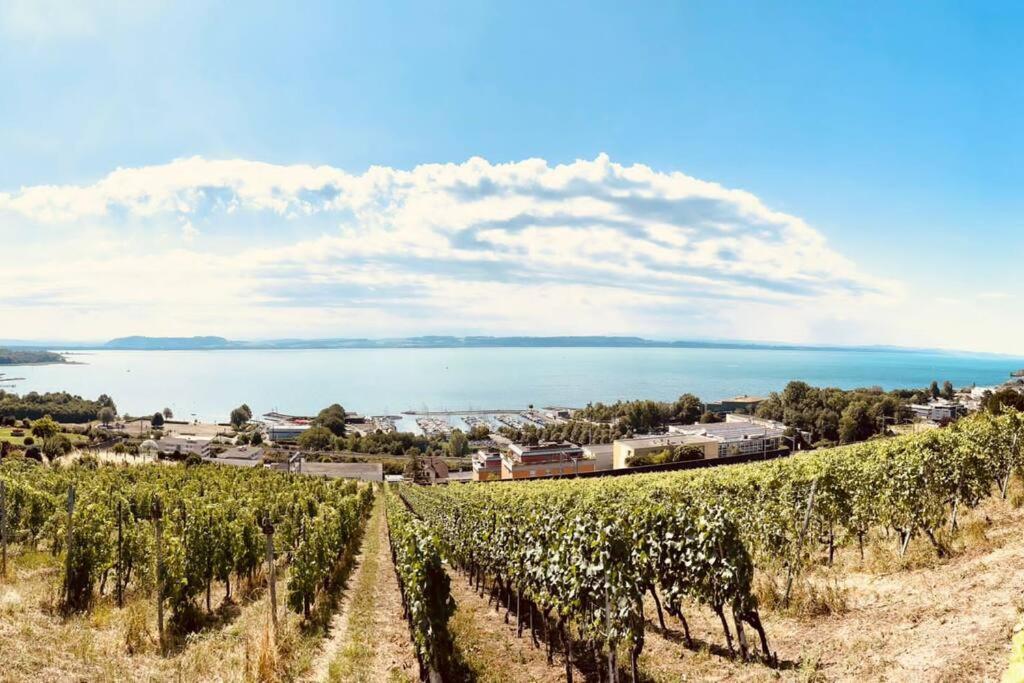 Charmant Appartement De Vacances Alta Ripa Hauterive  외부 사진
