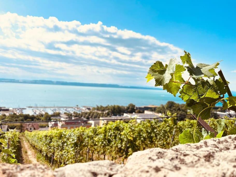 Charmant Appartement De Vacances Alta Ripa Hauterive  외부 사진