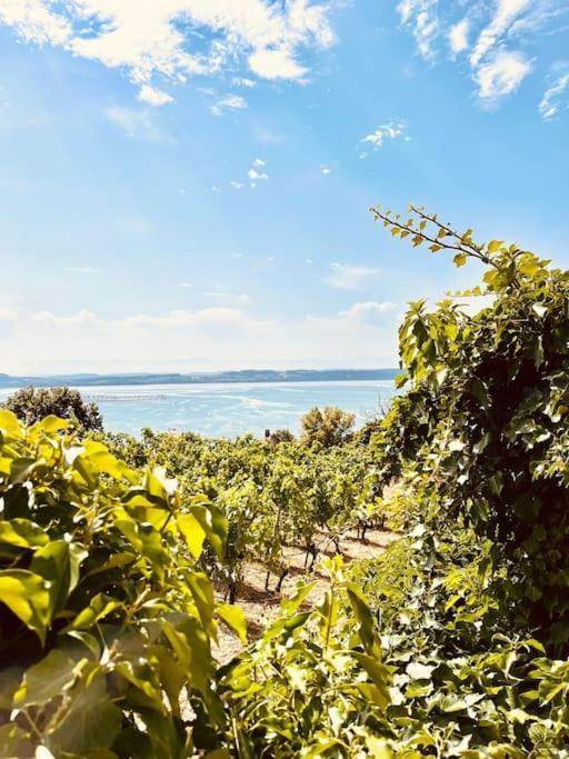 Charmant Appartement De Vacances Alta Ripa Hauterive  외부 사진